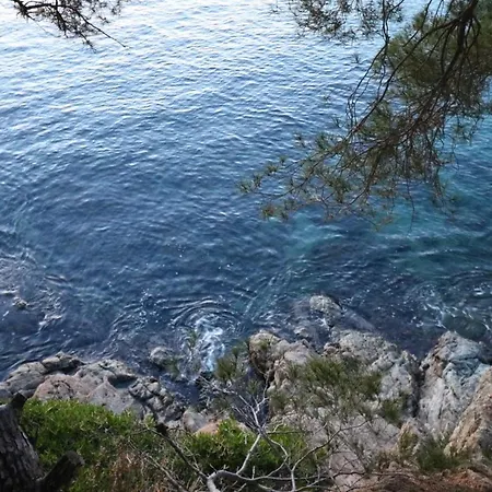 Monaco - Fantastico Piso Vista Al Mar *